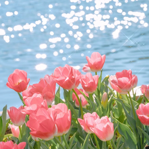 男军人警察裸体自慰
